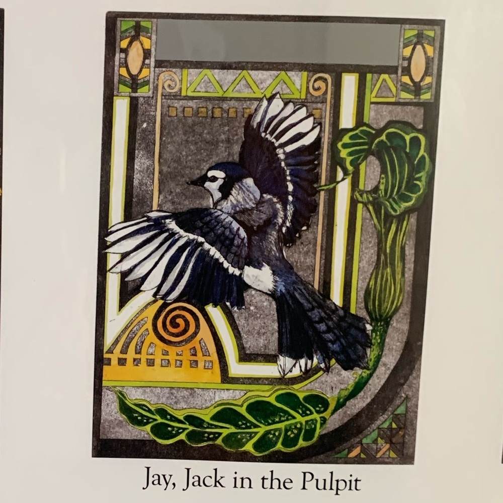 “Illustrated Alphabet” by Vischon WA artist, Sue Hardy - Picture 3 of 9